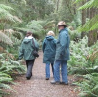 walk to Hogarth Falls